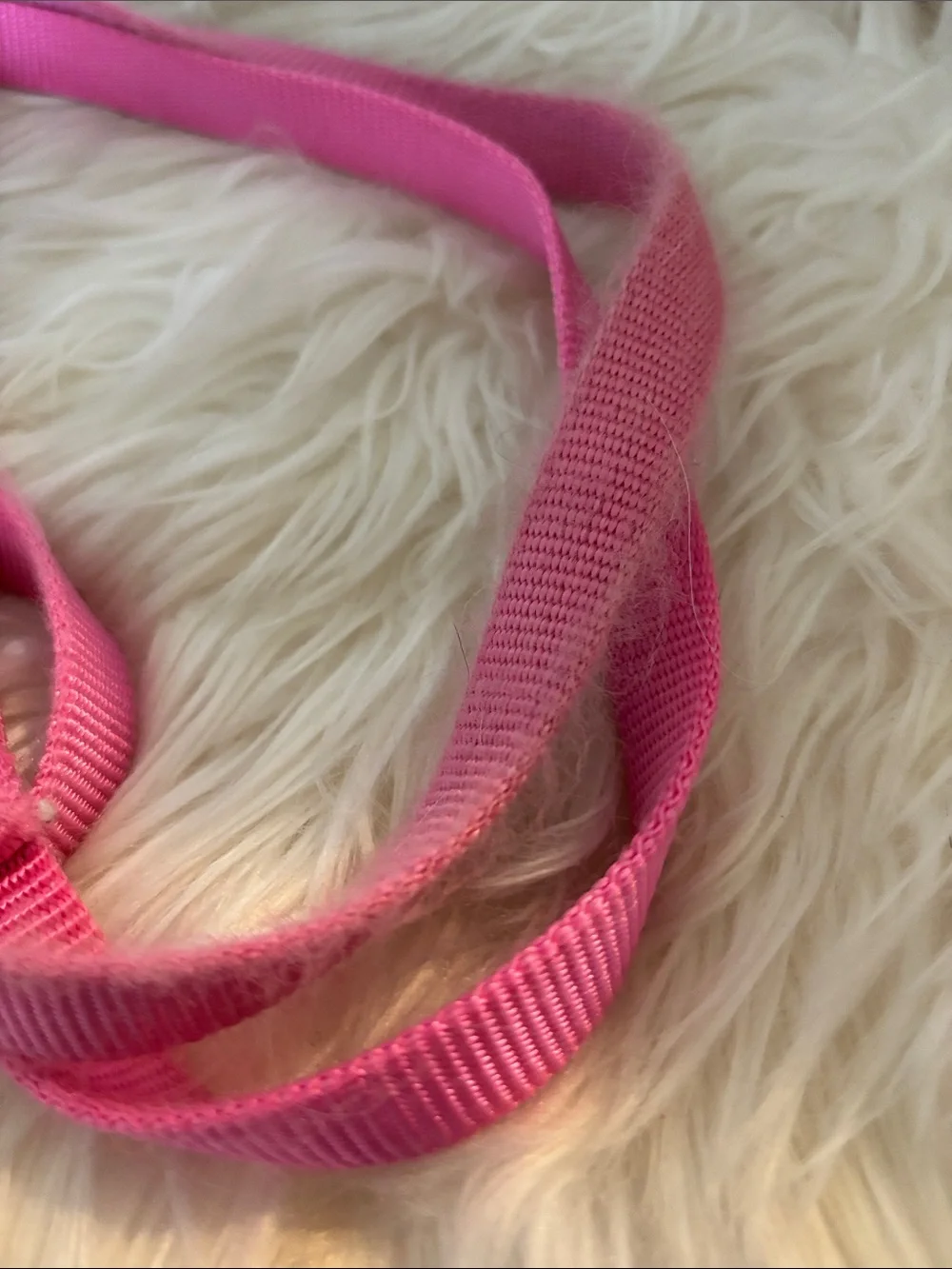Top Paw 6’ Bright Pink Nylon Dog Leash with Metal Clip